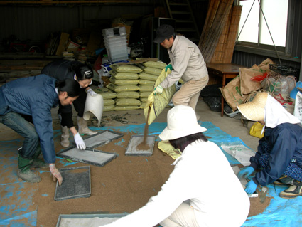 DSCN6774.jpg