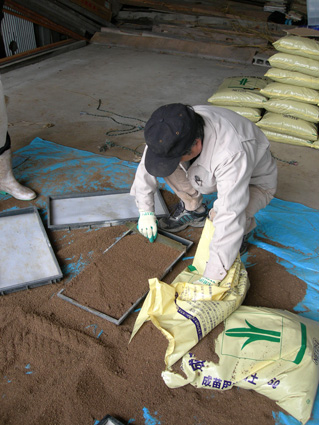 DSCN6775.jpg