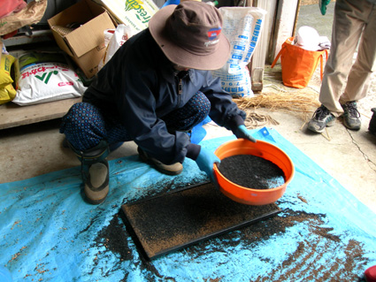 DSCN6788.jpg