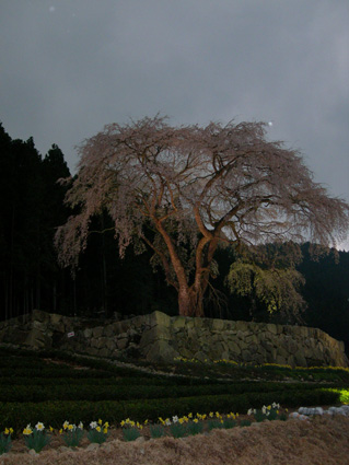 DSCN6811.jpg