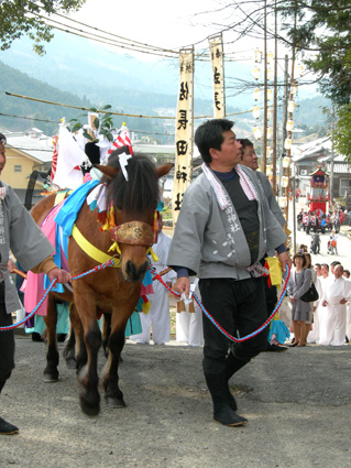 DSCN6874.jpg