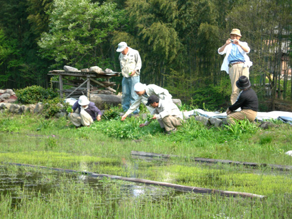 DSCN7050.jpg