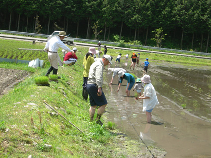 DSCN7237.jpg