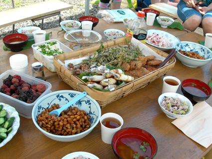 DSCN7242.jpg