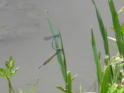 DSCN7271.jpg