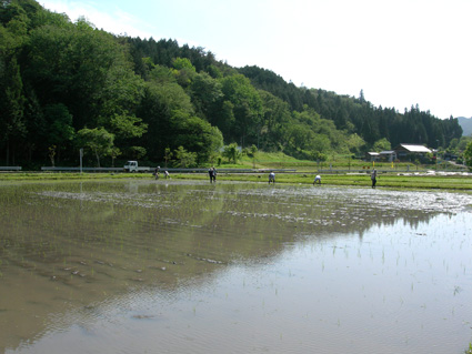 DSCN7277.jpg