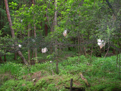 DSCN7416.jpg