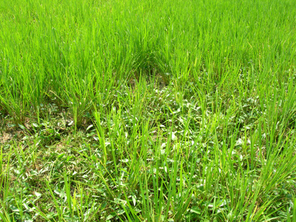 DSCN7690.jpg