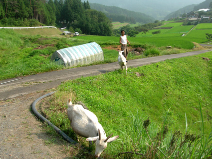 DSCN7714.jpg