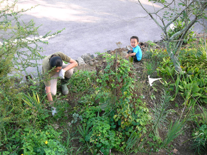 DSCN8018.jpg