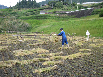 DSCN8170.jpg