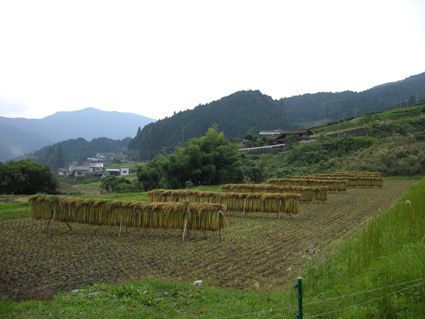 DSCN8185.jpg