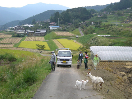 DSCN8186.jpg