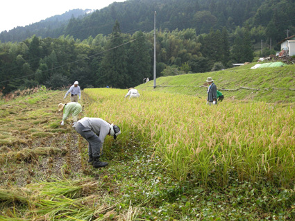 DSCN8193.jpg