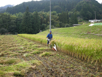 DSCN8197.jpg