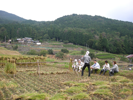 DSCN8203.jpg