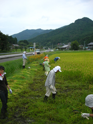 DSCN8233.jpg