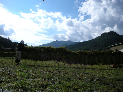 DSCN8333.jpg