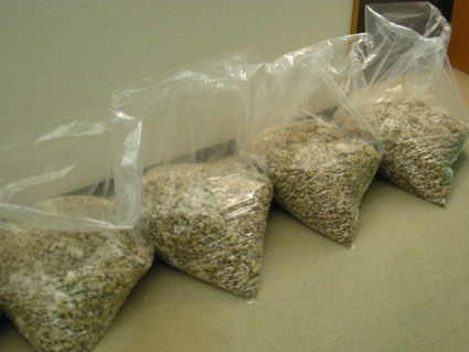 DSCN9366.jpg
