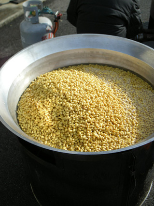DSCN9373.jpg