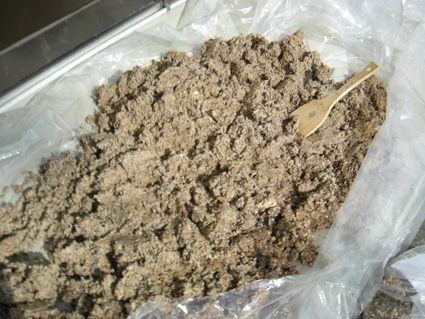 DSCN9395.jpg