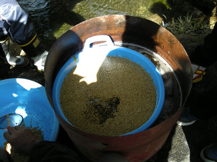 DSCN9580.jpg