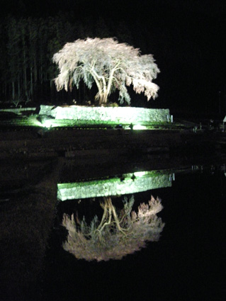 DSCN9724.jpg