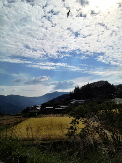 IMG_0452.jpg