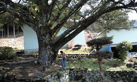 PAP_0637.jpg