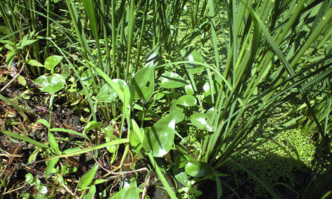PAP_0859.jpg